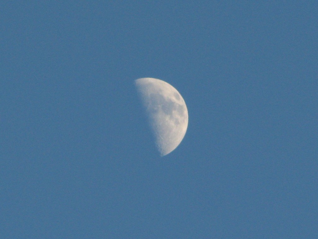 half moon, photographed in day light against a blue sky.
