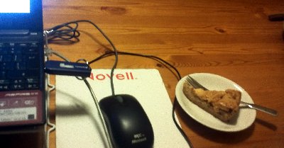 night writing ... a netbook, a mouse and Oma's apple tarte