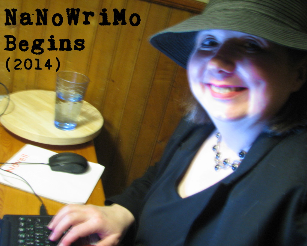 NaNoWriMo Begins (2014 edition)