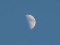 half moon, photographed in day light against a blue sky.